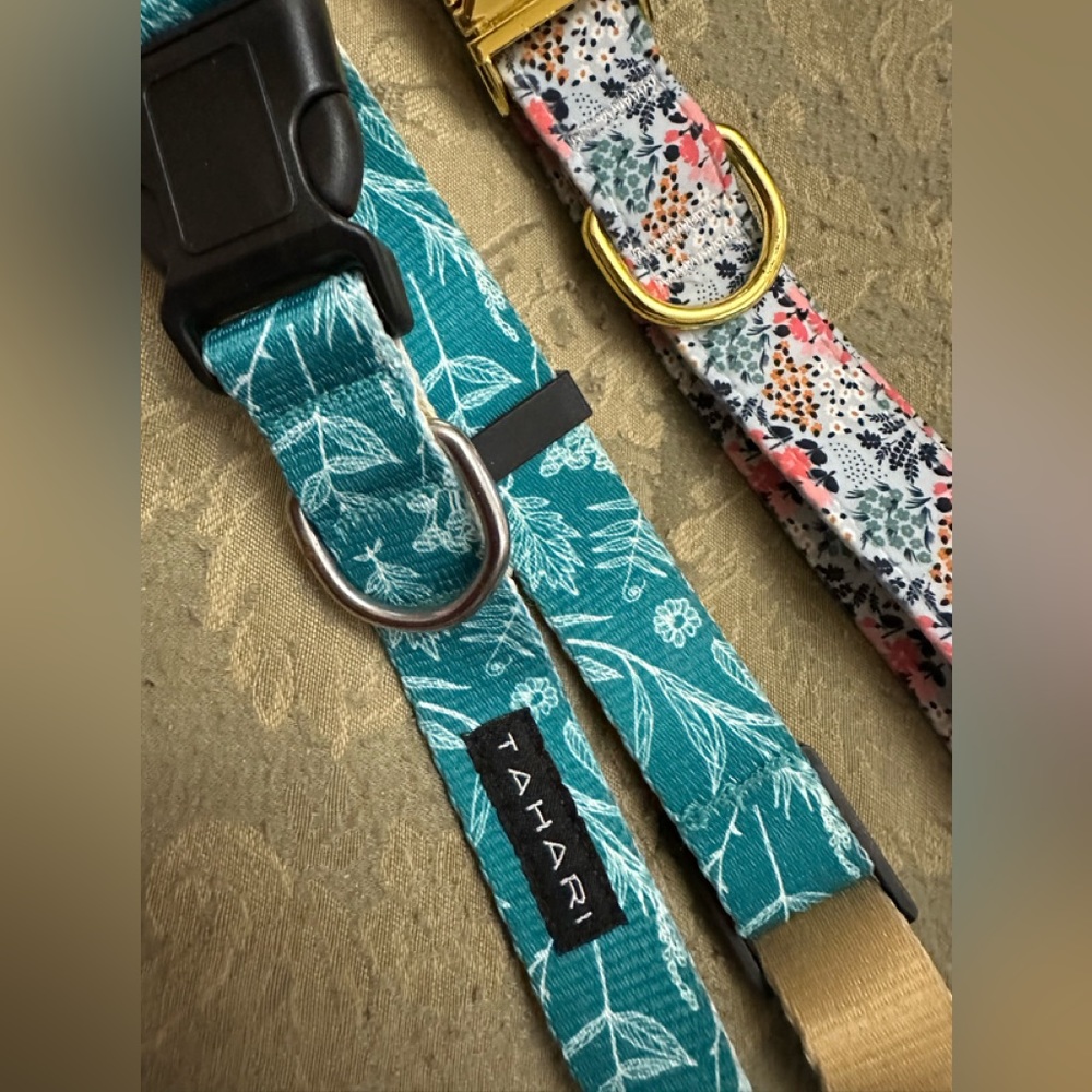 Tahari dog collars set of two one is Tahari